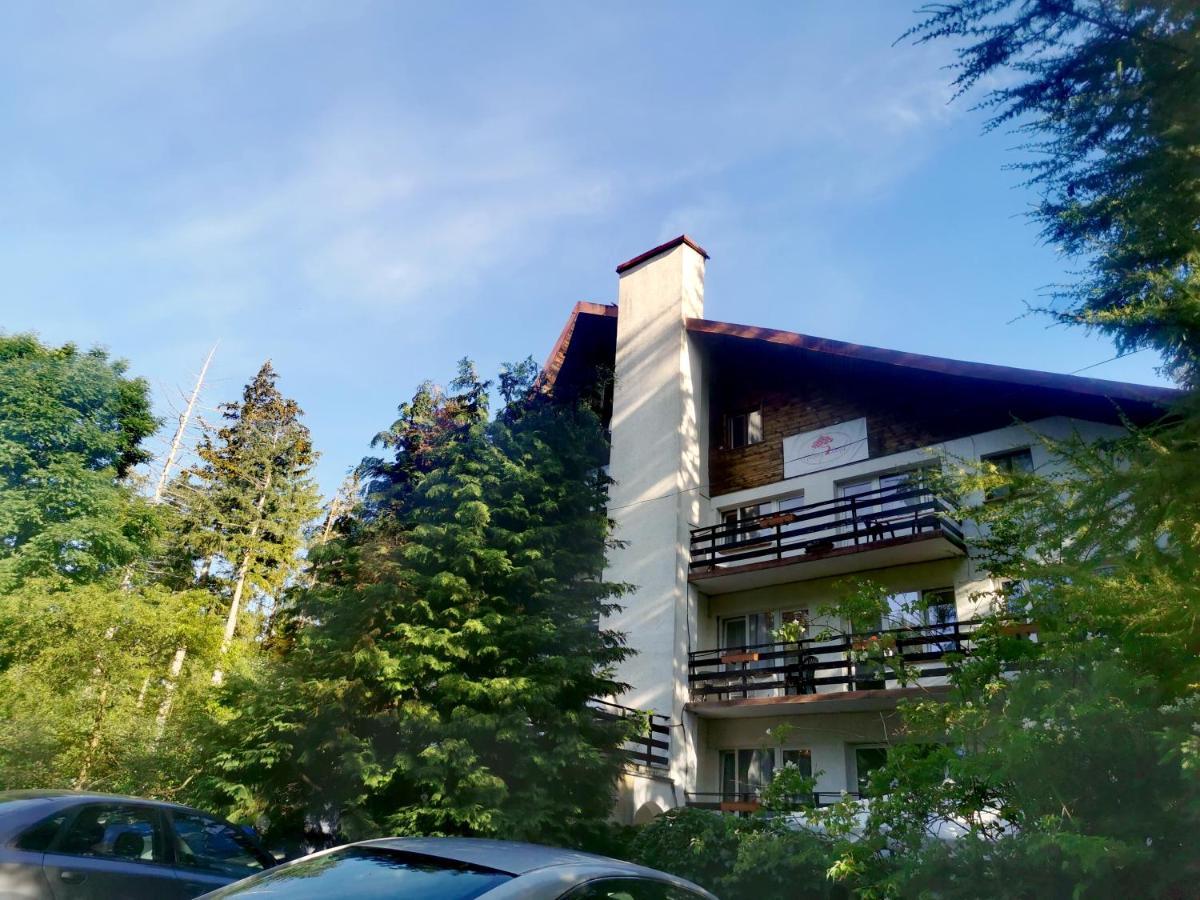 Malinowy Domek Karpacz Exterior photo